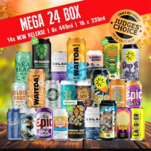 beer festival box - Mix beer box 24 box mega box huge gift box craft beer gift box